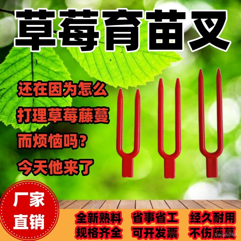 草莓育苗叉草莓叉草莓苗固定叉子塑料叉子藤蔓固定器農用壓枝神器3.19