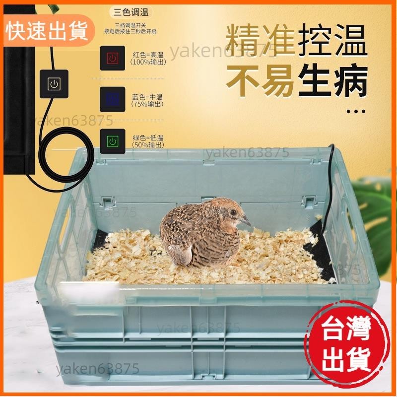 高CP值📣鸚鵡保溫箱雛鳥幼鳥孵化手養鳥保溫箱保暖箱小型恆溫迷你育雛用品