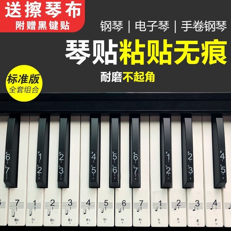 🔥熱賣/可開發票/免運🔥 透明88鍵鋼琴貼紙76鍵54鍵61鍵電子琴貼紙五綫譜簡譜音符按鍵貼49 9XAM