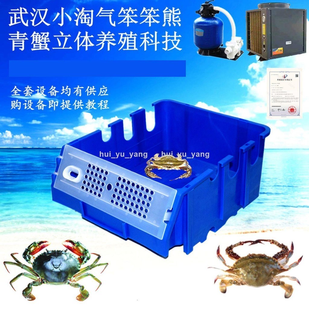 三槽獨立排水新款青蟹養殖箱梭子蟹螃蟹室內立體養殖設備