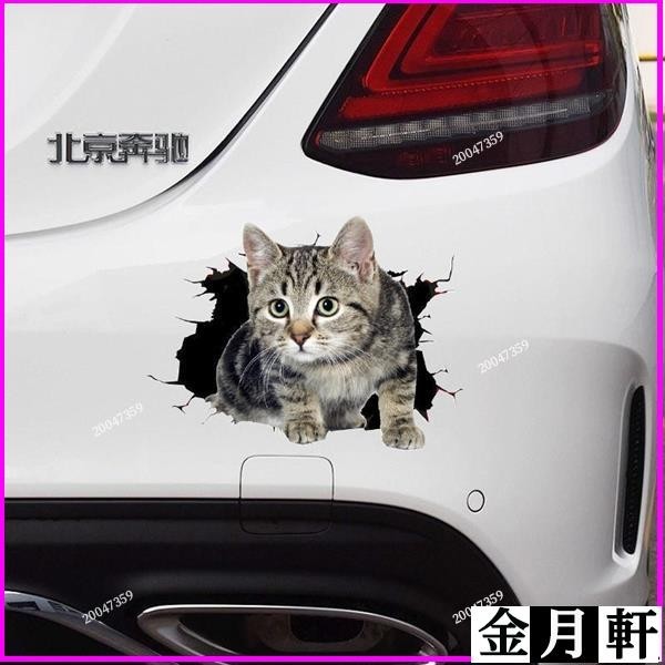 ✨創意個性3D立體小貓汽車貼紙 可愛搞怪貓咪遮擋車身車尾劃痕刮痕
