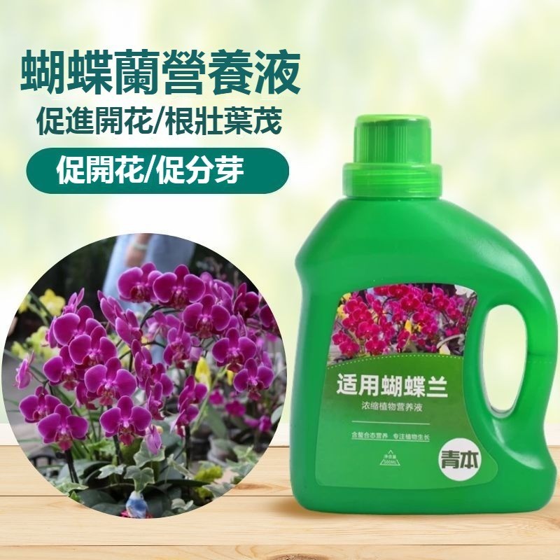 蝴蝶蘭肥料 專用肥 蘭花 有機營養液 促進開花液體肥 營養肥 君子蘭 花肥