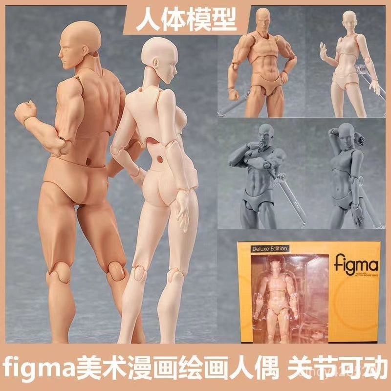 【臺灣-出貨】-figma素體美術人體模型玩具日本人偶關節可動成人繪畵肌肉shf素體