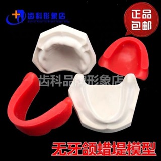 小百合模模型無牙頜蠟堤石膏人工練習排牙義齒基託無牙頜石膏底座包郵模型展示模型
