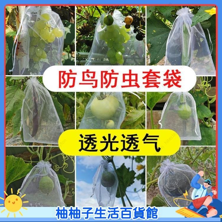 柚子 套果袋 尼龍網袋 葡萄套袋子 防鳥網 防蟲水果防蟲網袋 草莓透氣專用袋01