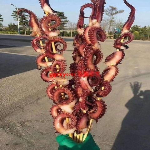 包郵仿真魷魚模型油炸魷魚轟炸大魷魚鐵板魷魚食品模型章魚腳模型