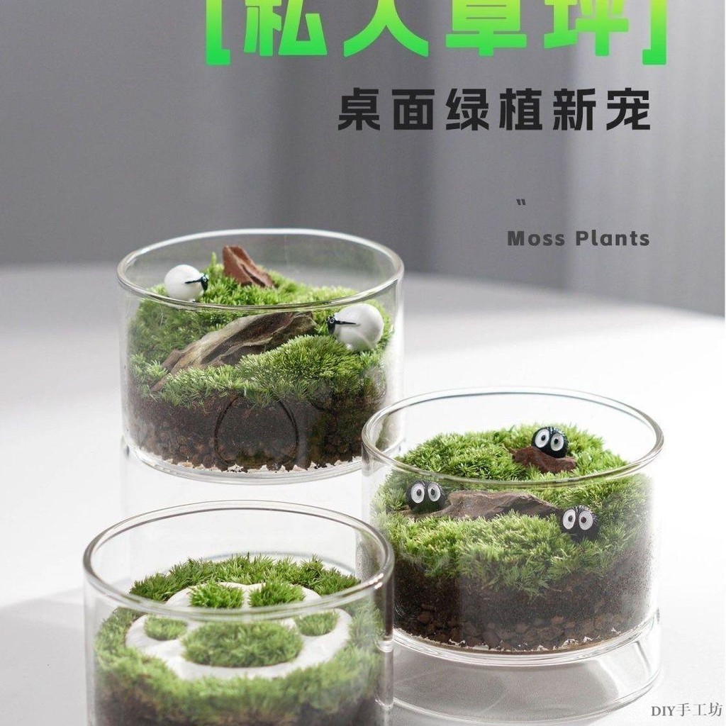 苔蘚生態瓶 diy種植 小盆栽 辦公室桌面小寵物植物微景觀創意禮物DIY手工坊