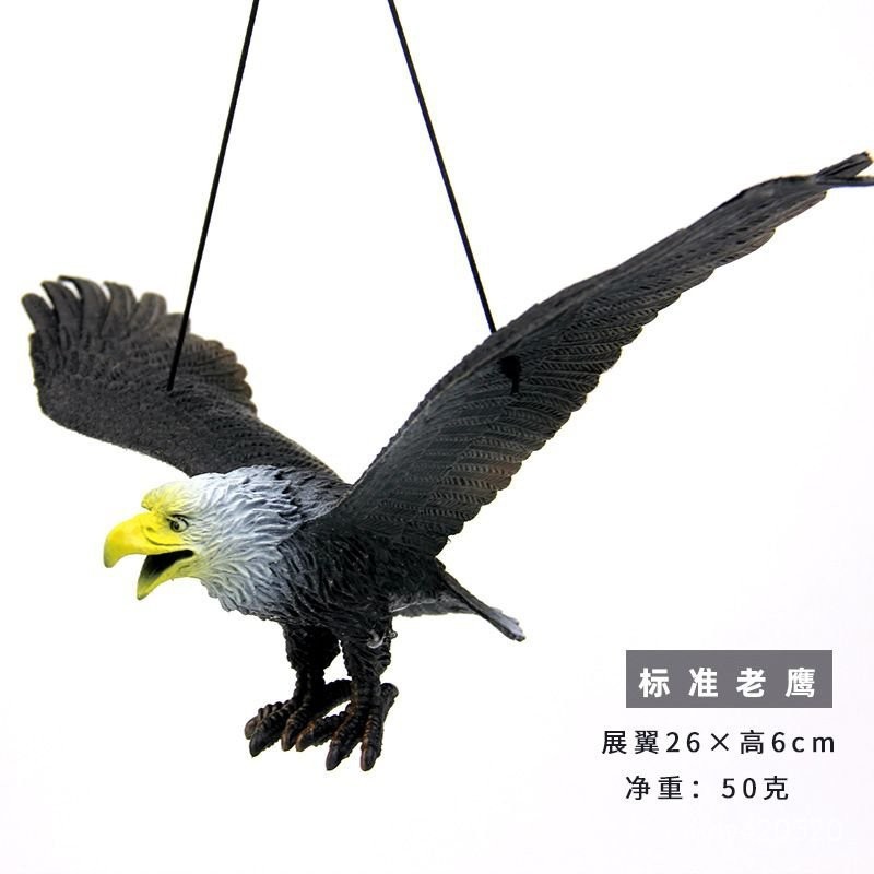 【臺灣-出貨】-大號仿真老鷹模型塑膠陽臺果園䮠鳥嚇鳥神器玩具老鷹仿真䮠鳥