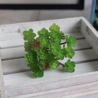 迷你多肉植物模擬盆栽仿生植物人造植物景觀家庭辦公室酒店裝飾假植物園林植物展示模擬植栽模擬蕨類