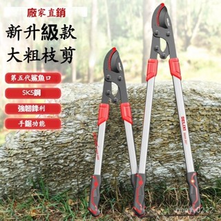 臺灣勁銷 修枝剪園藝果樹剪刀剪樹枝專用大號剪加長桿園林強力粗枝剪果樹剪 伸縮剪枝器 園藝工具 加長 鋒利 樹枝剪