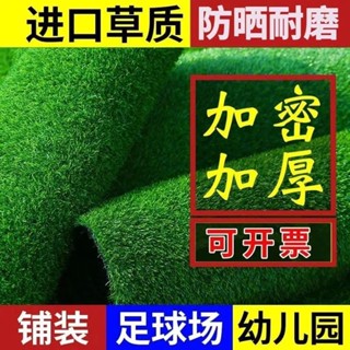 草皮 草坪 模擬草皮 模擬草坪地毯假草皮樓頂隔熱隔音陽臺戶外院子幼兒園裝飾地麵綠化