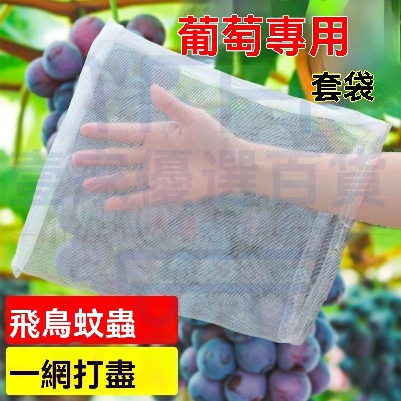 🏠壹傢🏠尼龍網袋葡萄套袋專用袋子防鳥網防蟲水果防蟲網袋草莓無花果透氣 QUYB