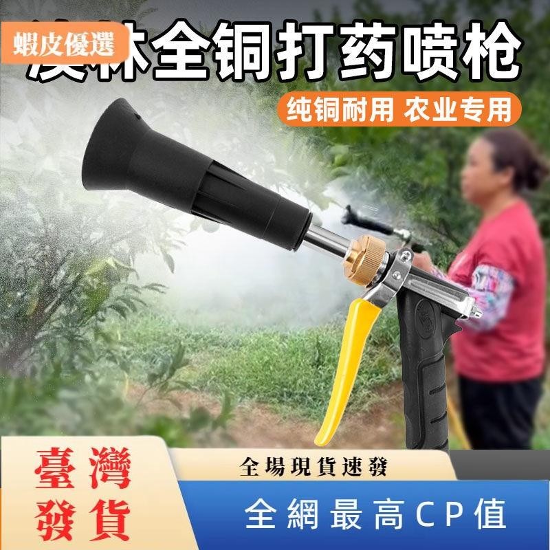 cp園藝 澳林打藥噴槍打藥機高壓水槍農用噴藥水槍園林噴霧消毒果樹銅噴頭