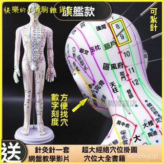 可開發票人體模型中醫針灸穴位圖銅人男女全身十二經絡小皮人針灸穴位模型 人體模型 器官模型 人體針灸模型 人體模型