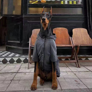 寵物服飾 貓狗 中大小型犬 秋冬新款寵物衣服反光炫彩大狗衝鋒衣杜賓金毛邊牧中大型犬防風