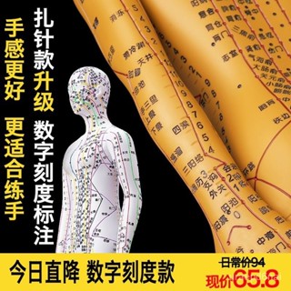 sjq臺灣熱銷👉人體經絡穴位模型人針灸十二經絡圖小皮人可紮針數字刻度定位 針灸模型 人體模型 針灸銅人 人體針灸 模型