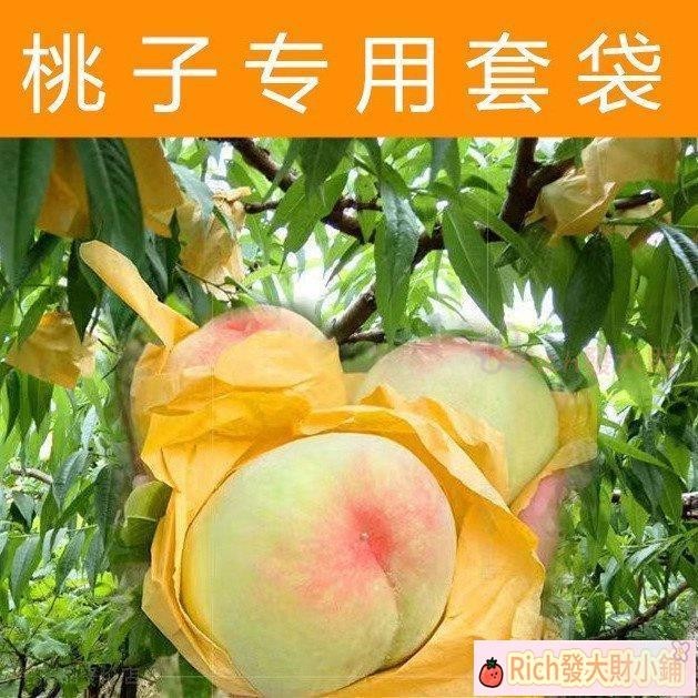rich！桃子專用套袋 水蜜桃 鼕桃 蟠桃 黃桃專用 紙袋防啄專用果樹套袋