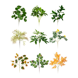 ▼JVW模擬綠植發財樹葉子室內假樹戶外綠色盆栽軟裝小植物造景裝飾擺件