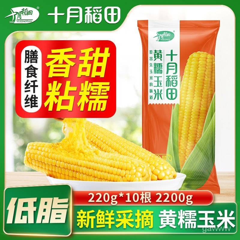 新品上市/全網低價/十月稻田/黃糯玉米/甜糯白糯玉米/10根/速食玉米