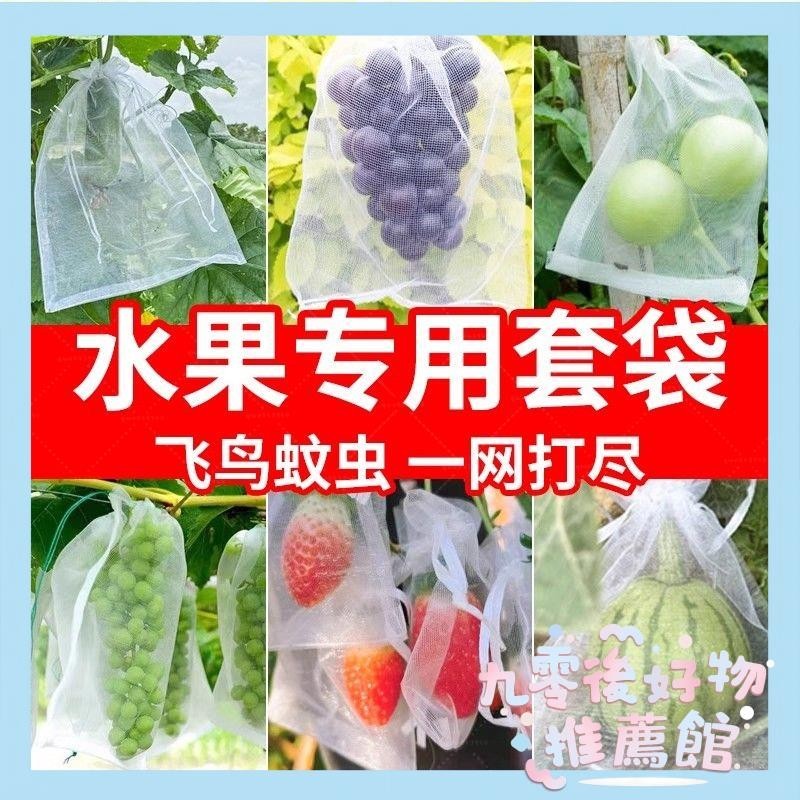 🔥台灣熱銷🔥水果套袋防蟲防鳥尼龍網袋子透氣防果蠅套袋枇杷果樹網袋防蟲網袋