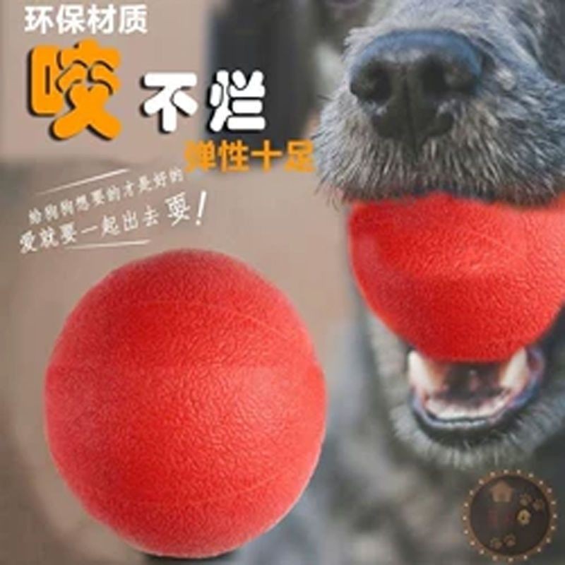 【寵物玩具】寵物用品 逗狗狗玩具 耐咬不爛磨牙減壓解悶訓練神器彈力球大中型犬