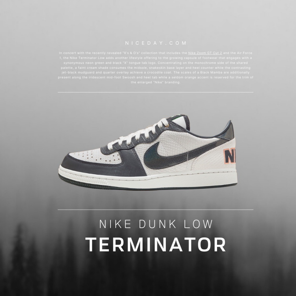 Nike Terminator Low Anthracite 煙灰 蛇紋 鱷魚紋 男款 FN933