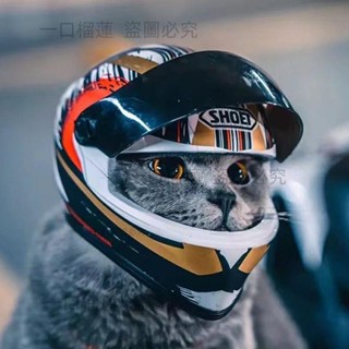 ?一口榴蓮?精選貓咪頭盔抖音同款貓貓帽子機車摩托迷你公仔貓咪帽子頭套模型搞笑