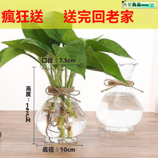 透明花瓶 造型玻璃瓶 玻璃花器 塑膠花瓶 防摔花瓶 北歐風 盆栽 【廠傢直銷】花瓶塑料瓶水培植物透明花瓶風信子綠蘿弔蘭簡