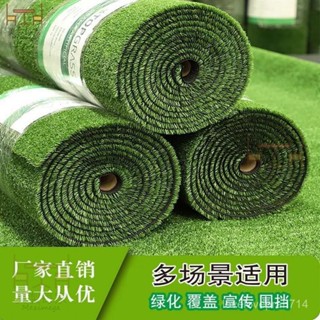 [模擬綠植]人造模擬草坪戶外假塑膠草皮庭院陽臺裝飾人工圍擋幼兒園草坪地毯 DRIJ