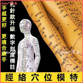可開發票 政河人體經絡穴位模型人 針灸十二經絡圖小皮人 可紮針數字刻度定位 全身穴位模型 經絡模型推拿按摩人體針灸模型