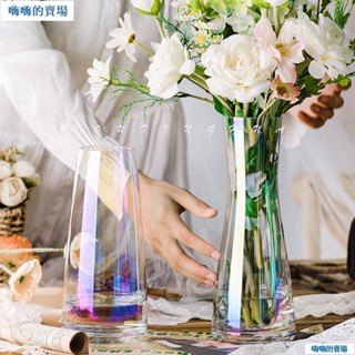 嗨！花瓶 北歐簡約客廳透明玻璃 水養百合花瓶 花瓶插 炫彩創意富貴竹餐桌擺件se2