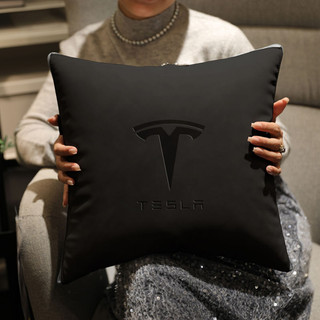 🚗適用於Tesla 特斯拉 Model 3/X/Y/S車用舒適抱枕腰靠墊枕汽車內飾 汽車裝飾用品 車用品