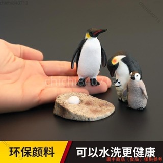 【廠商直銷】實心兒童模擬動物模型套裝動物玩具企鵝成長週期海洋之舟早教認知ll812