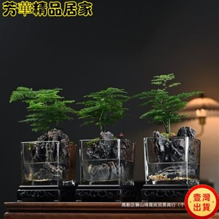 🔥臺灣出貨🔥苔蘚生態瓶 藍瓶 悶養創意苔蘚植物造景桌面擺件小微景觀生態瓶迷你綠內盆栽辦公室kun1