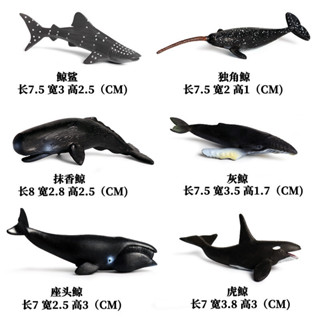 🥂模擬動物🥂兒童實心模擬海洋生物模型玩具鯊魚虎鯨抹香鯨迷你海洋動物玩具