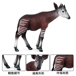 🥂模擬動物🥂實心模擬野生動物鹿模型玩具 小霍加狓 兒童塑膠玩具模型擺件