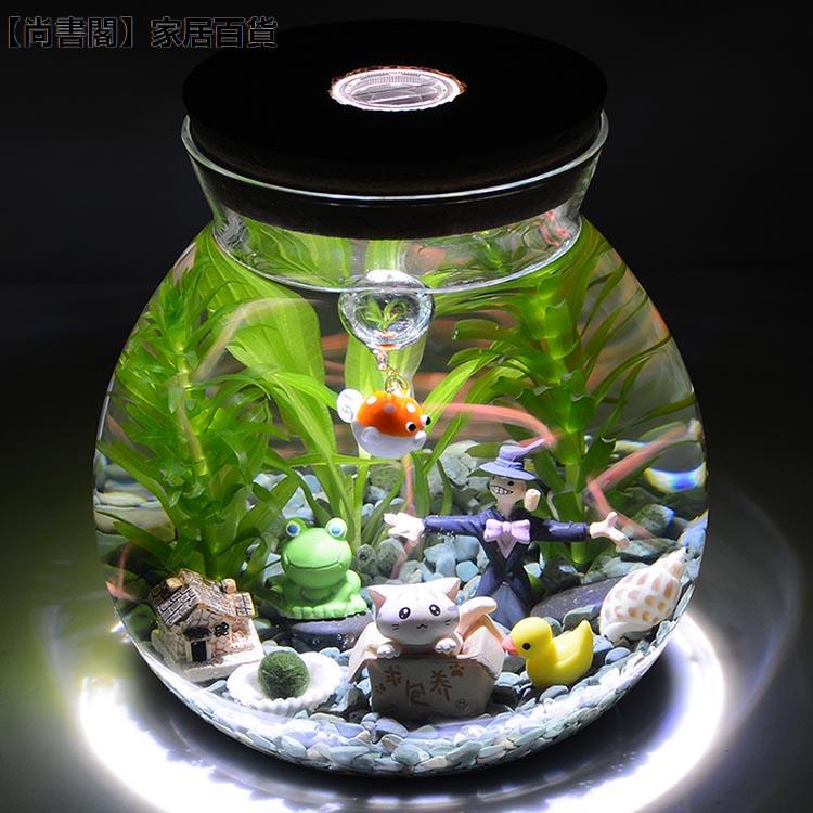 益達🔥熱賣🔥幸福海藻球桌面微景觀生態瓶龍貓水培植物生態瓶生日禮物