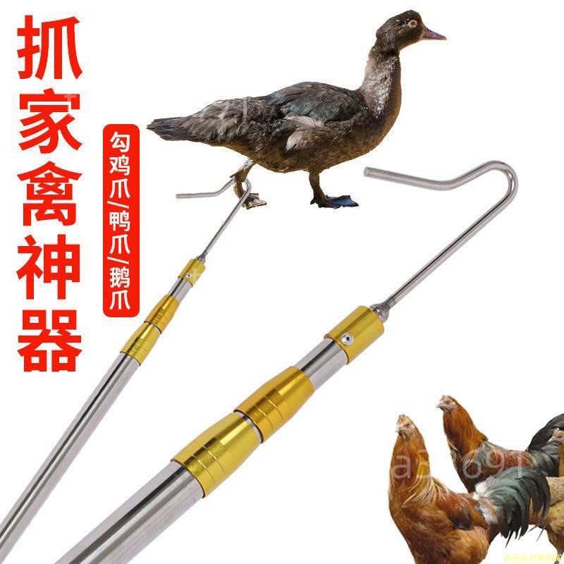 #工廠直銷#抓雞神器👍逮雞鉤子捉雞工具👍養殖場捕雞捕鴨捕👍鵝腳套捉雞鉤戶外捕捉