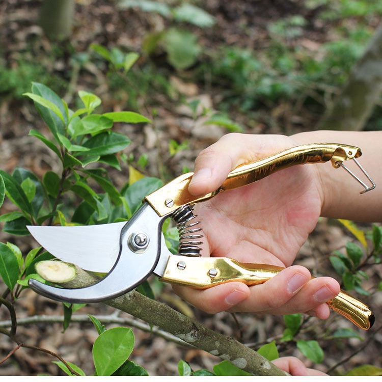 日本 進口 鋼材 園藝 修枝剪 園林 剪刀 果樹 枝 粗枝 樹枝 強力 省力 剪枝 工具