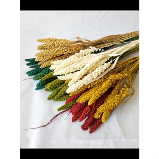 [小皮花坊] 小米穀麥穗乾花花束室內客廳擺飾裝飾品diy手工材質