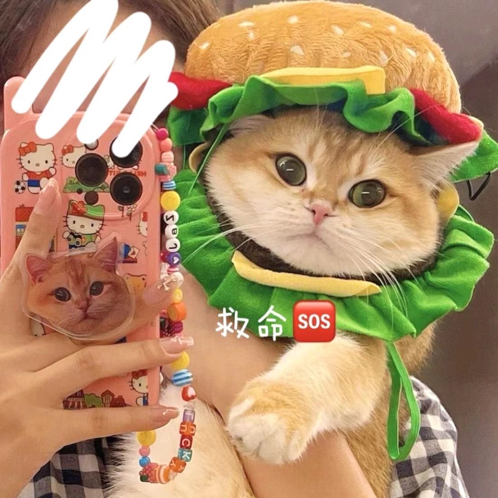 台灣發貨 寵物貓咪衣服 漢堡頭套 寵物漢堡帽 狗狗圍兜 可愛變裝 麥當勞圍裙 貓咪漢堡帽 伊麗莎白圈 麥當當圍兜
