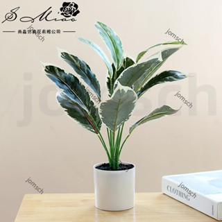 嘉義直發 仿真植物盆栽 模擬綠植盆栽 辦公室盆栽 人造綠植盆景 綠色模擬盆栽擺件 人造綠植盆景 居家裝飾 模擬綠植裝飾