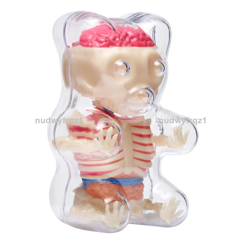 臺灣熱賣🔥🔥4D MASTER 解剖小熊拼裝模型DIY軟糖熊玩具益智禮品27550正品骨骼1096
