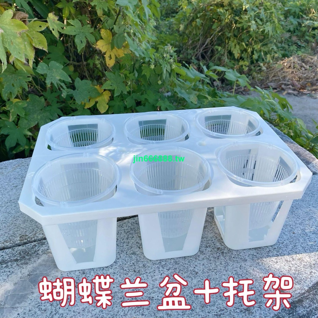 💥限時折扣熱賣💥【3.5寸6格托架】蝴蝶蘭組合盆托架鐵皮石斛苗專用盆文心蘭控根盆