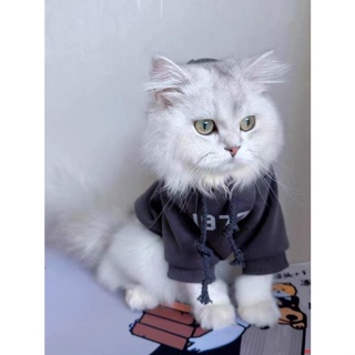 寵物貓貓咪衣服秋冬裝防掉毛保暖可愛小奶貓藍貓英短連帽加絨衛衣