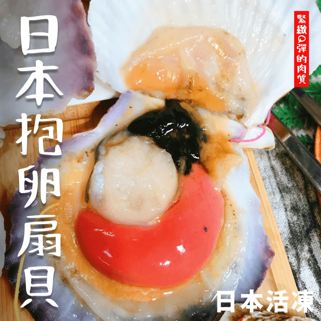 【潮鮮世代】日本活凍抱卵扇貝