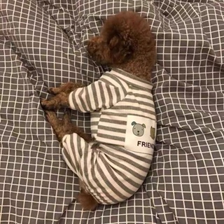 寵物衣服 狗狗衣服條紋春秋裝泰迪比熊幼犬小型犬睡衣寵物四腳衣貓咪家居服[小嘴]