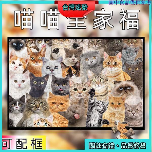 🧩台灣熱銷🧩 貓咪 寵物 300 片 520 片 1000 片 木質 拼圖 成人 成年 減壓 益智 玩具 生日禮物