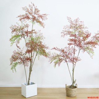 【免運】模擬南天竹植物盆栽仿生綠植室內客廳落地裝飾盆景花藝擺件假樹WS傢俱館2店