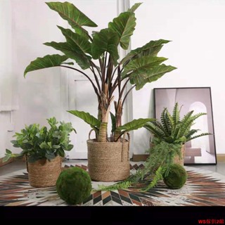 【免運】北歐模擬綠植夏威夷彩虹芋大型裝飾盆栽時尚家居網紅植物擺設假樹WS傢俱館2店